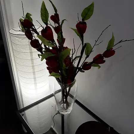Glyfada Vacation Apt Appartement