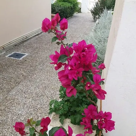 Appartement Glyfada Vacation Apt